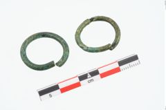 Foto von Bronzering (NHMW-PRAE-026271)